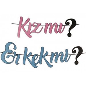 Kız Mı Erkek Mi Kaligrafi Banner